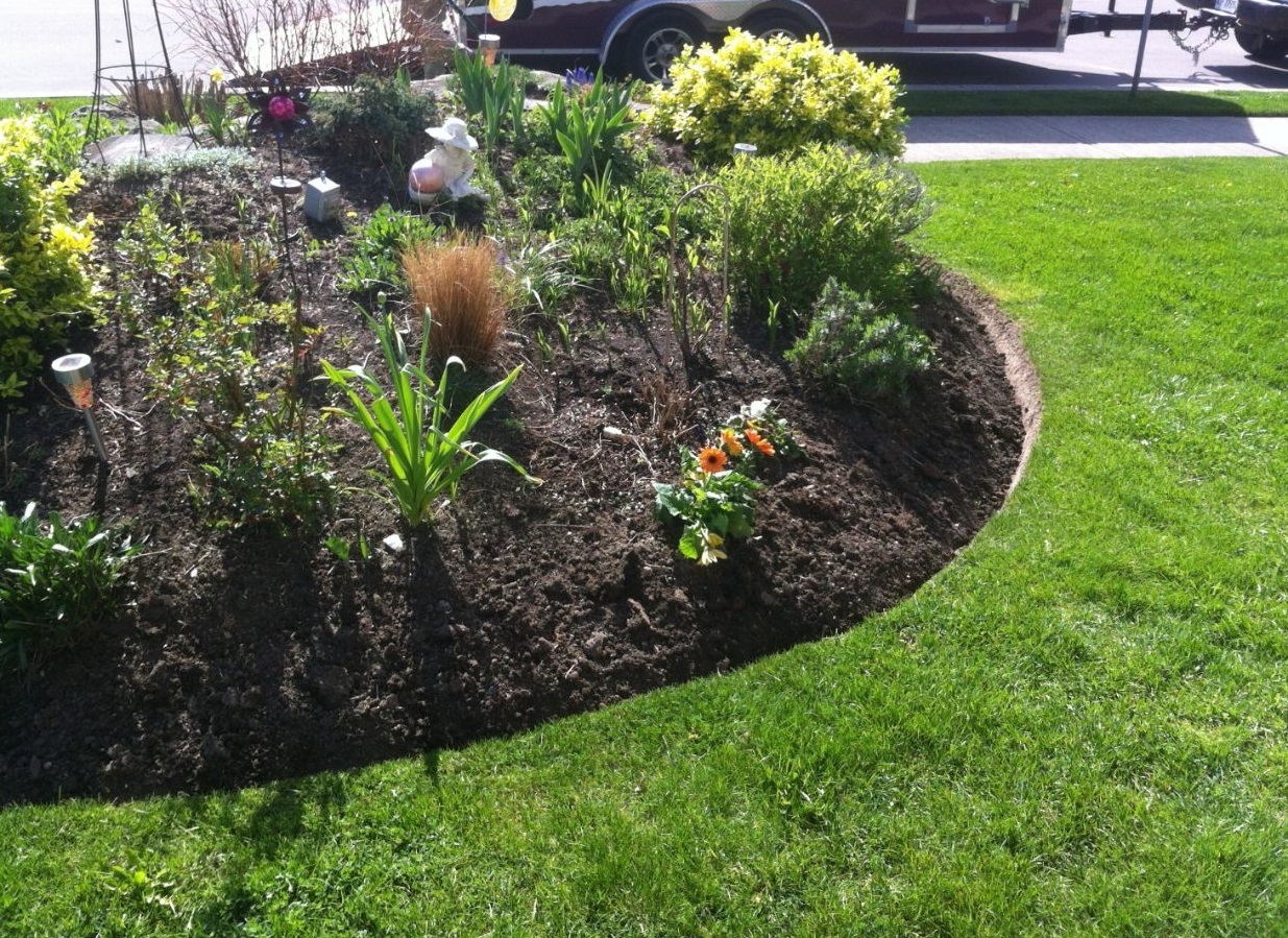 Annual/Perennial & Shrub Planting